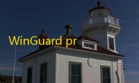 WinGuard pro(任意窗口锁定工具)